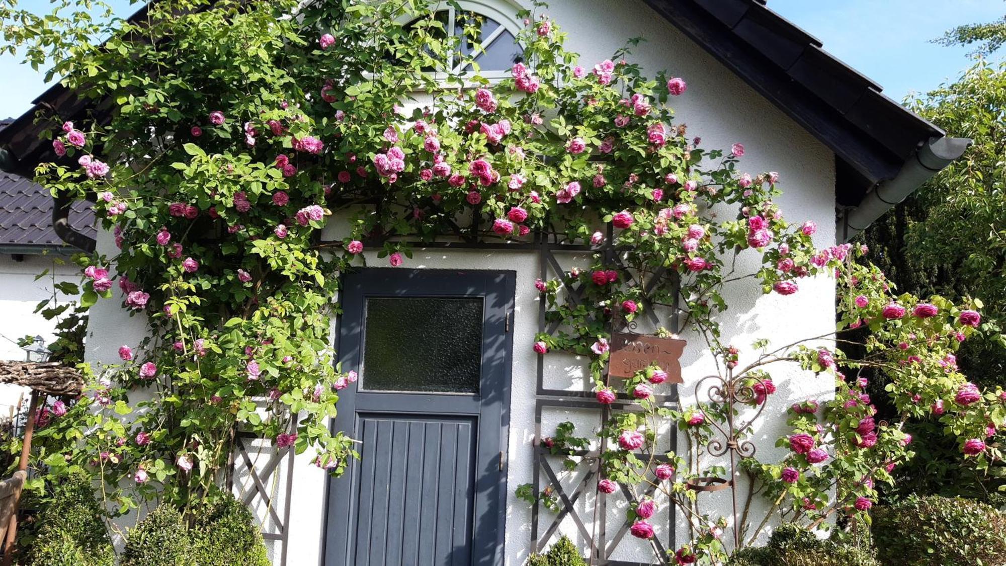 Tina'S Home Gütersloh Eksteriør bilde